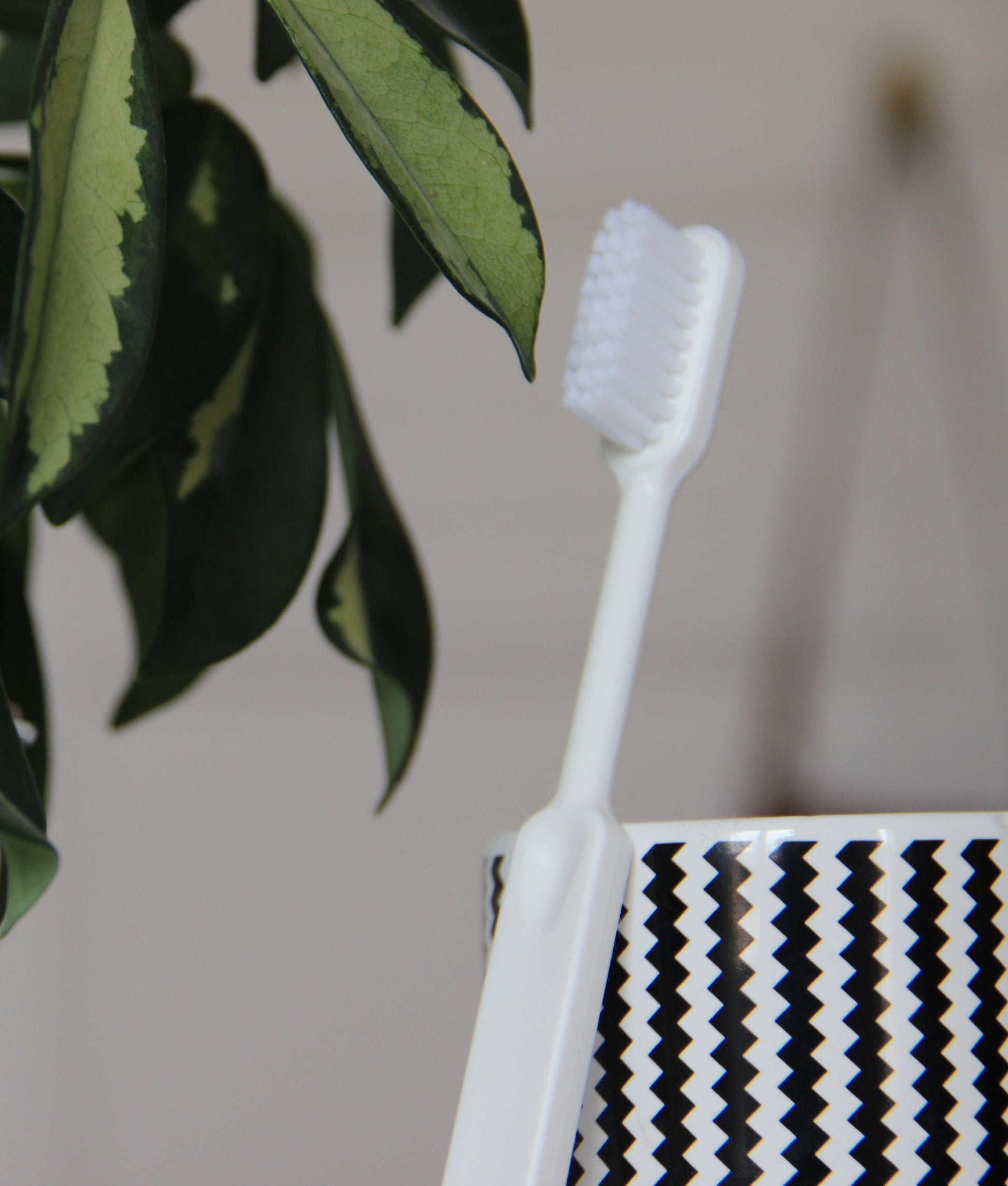 Brosse à dents rechargeable