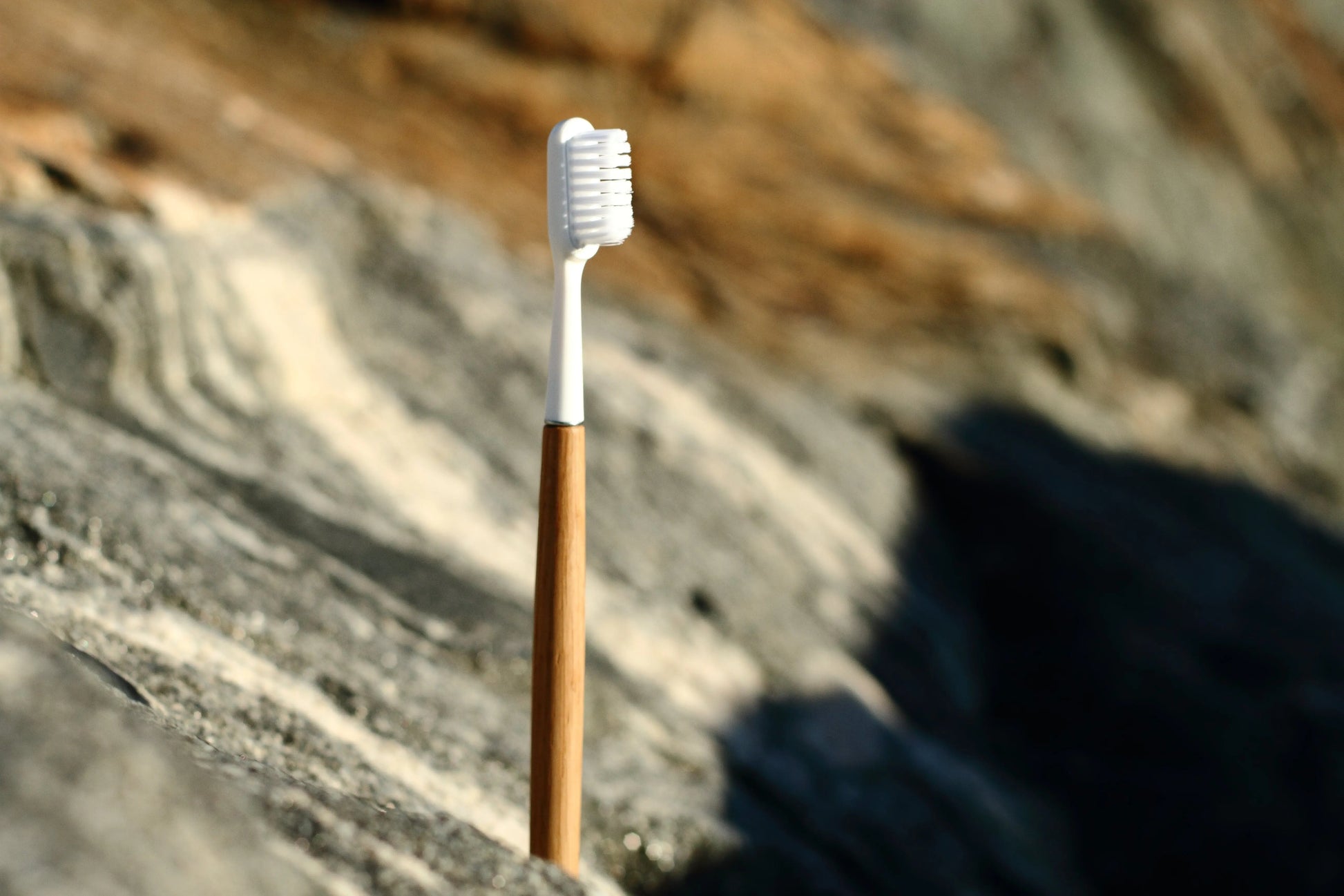 Brosse à dents rechargeable en bois 