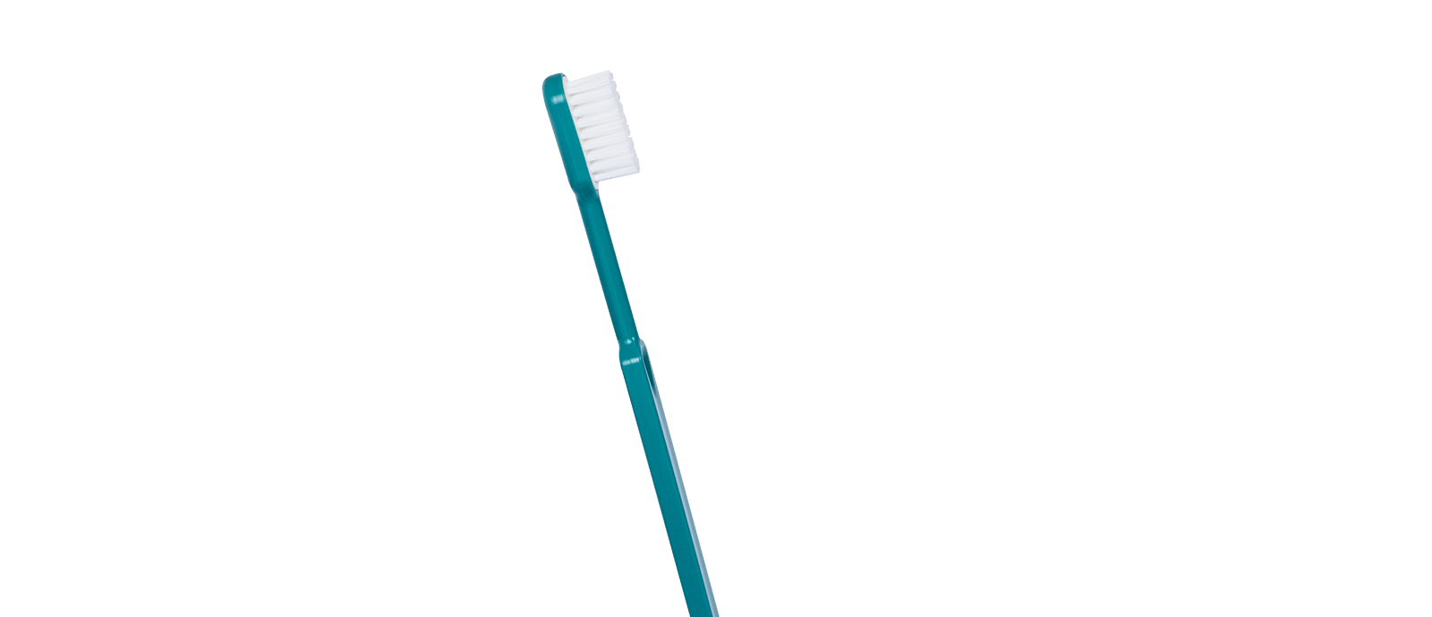 Brosse à dents rechargeable 