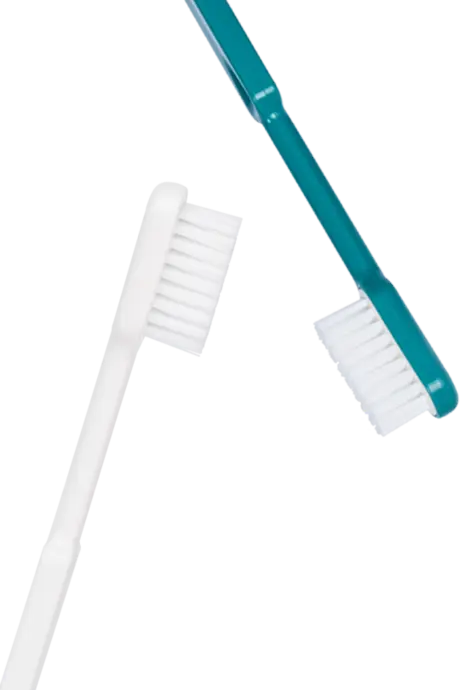 Brosses a dents rechargeable couple