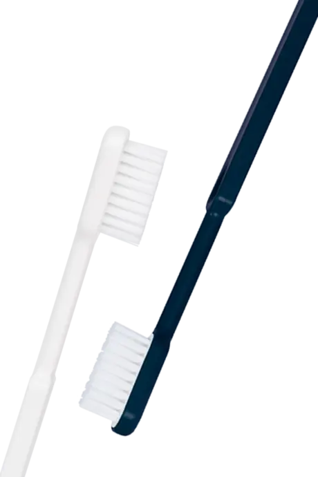 Brosses a dents ecologique couple