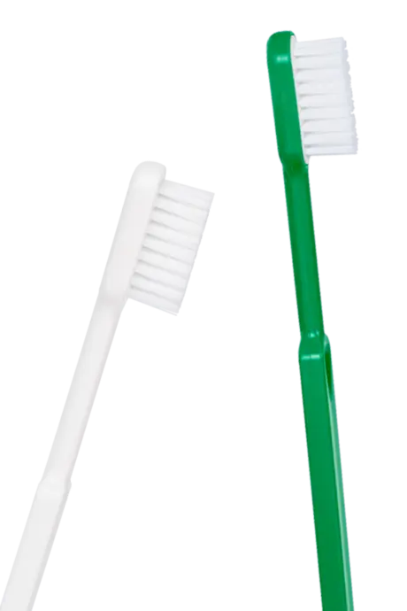 Brosses a dents rechargeable couple 
