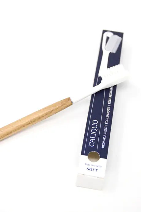 Brosse a dents rechargeable ecologique