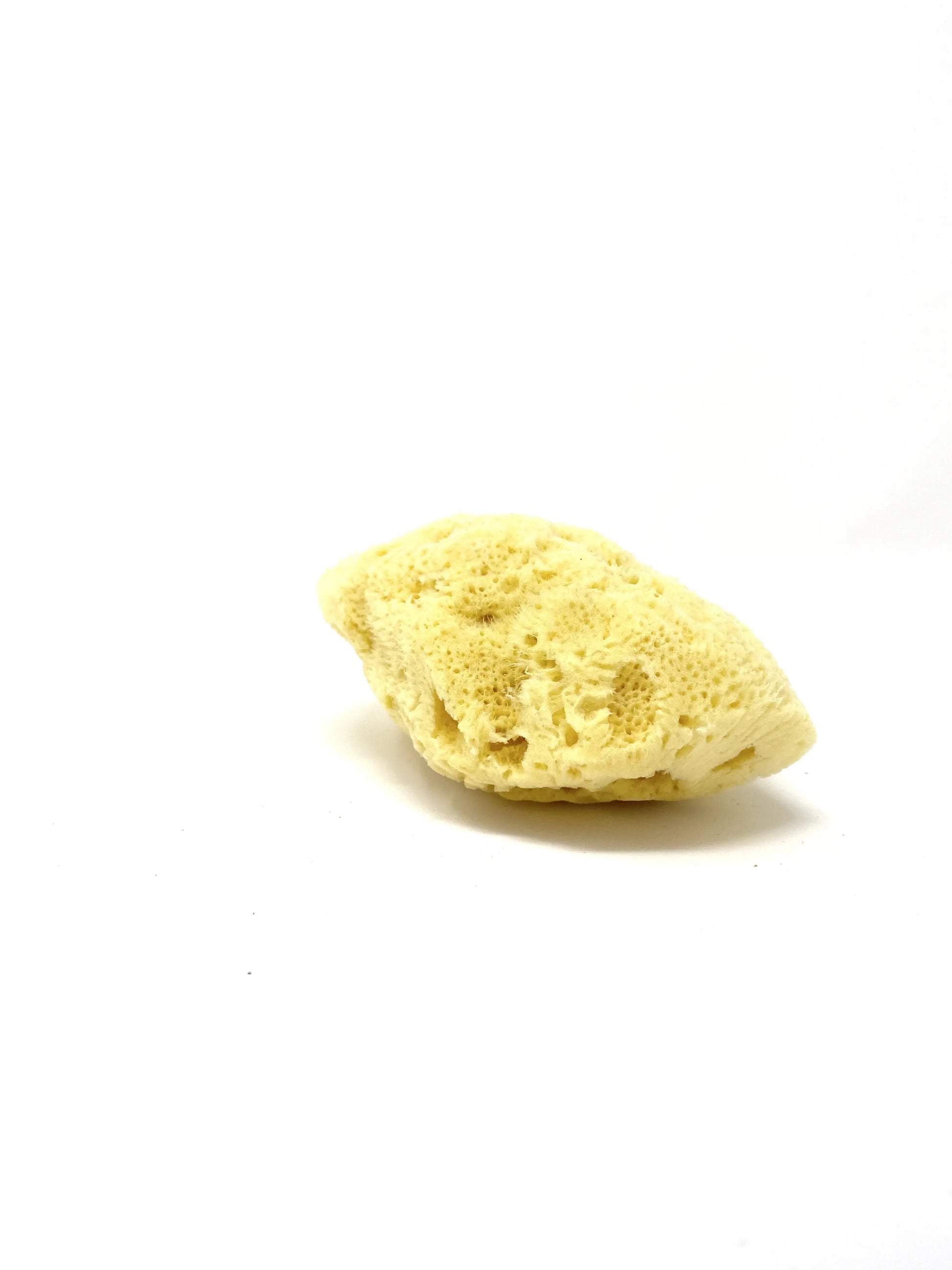 Éponge de mer naturelle Caliquo