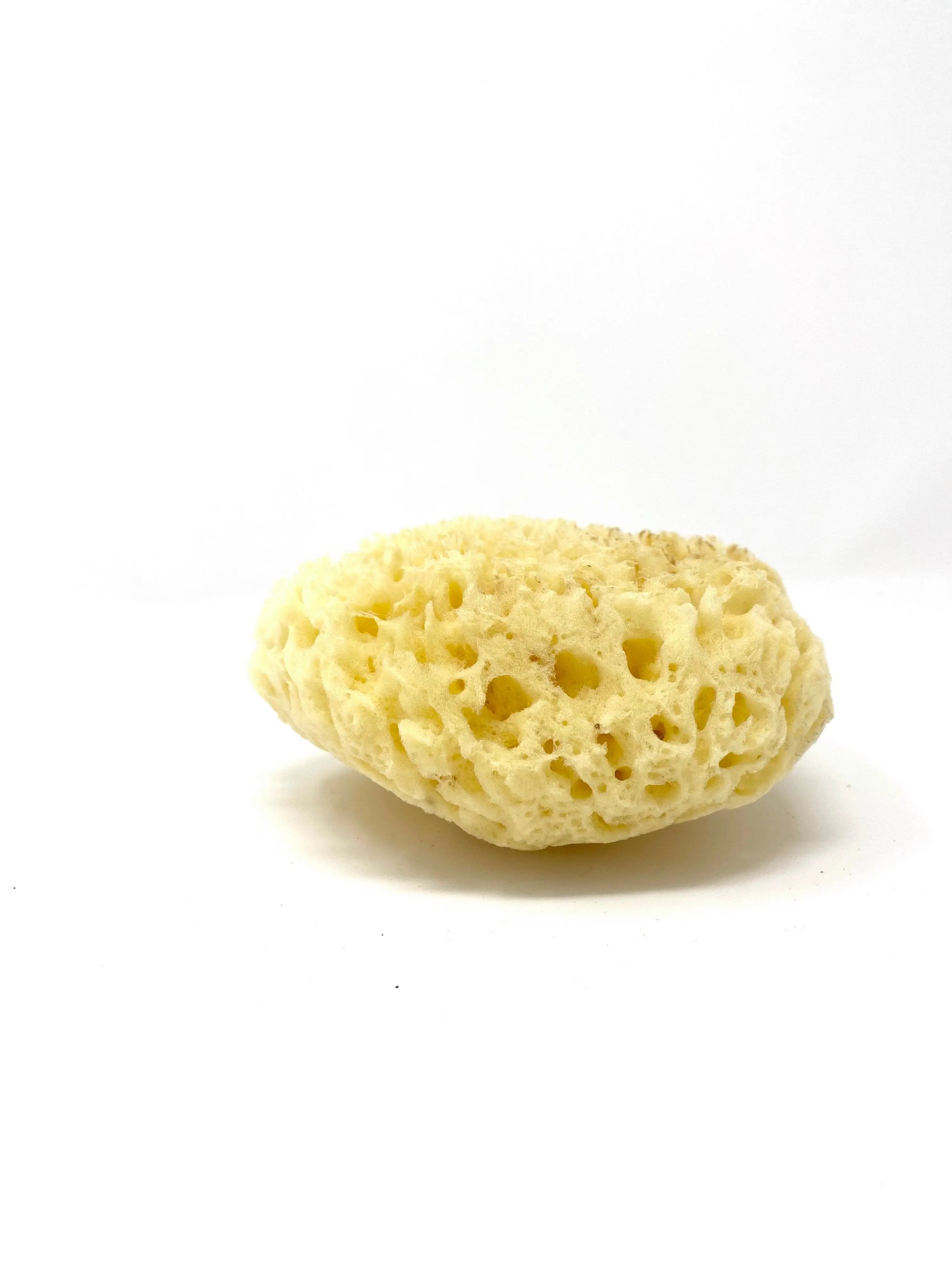 Éponge de mer naturelle Caliquo